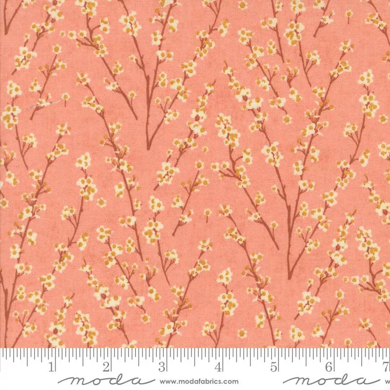 Acorn Hollow Apple 30765 17 Moda #1